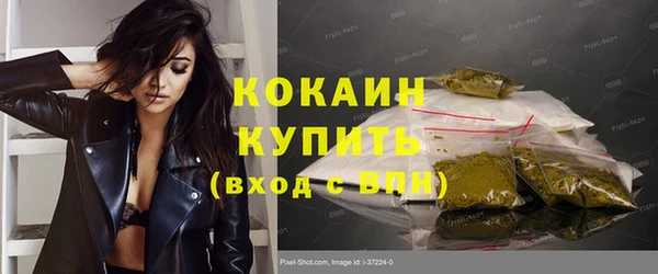 ПСИЛОЦИБИНОВЫЕ ГРИБЫ Осинники
