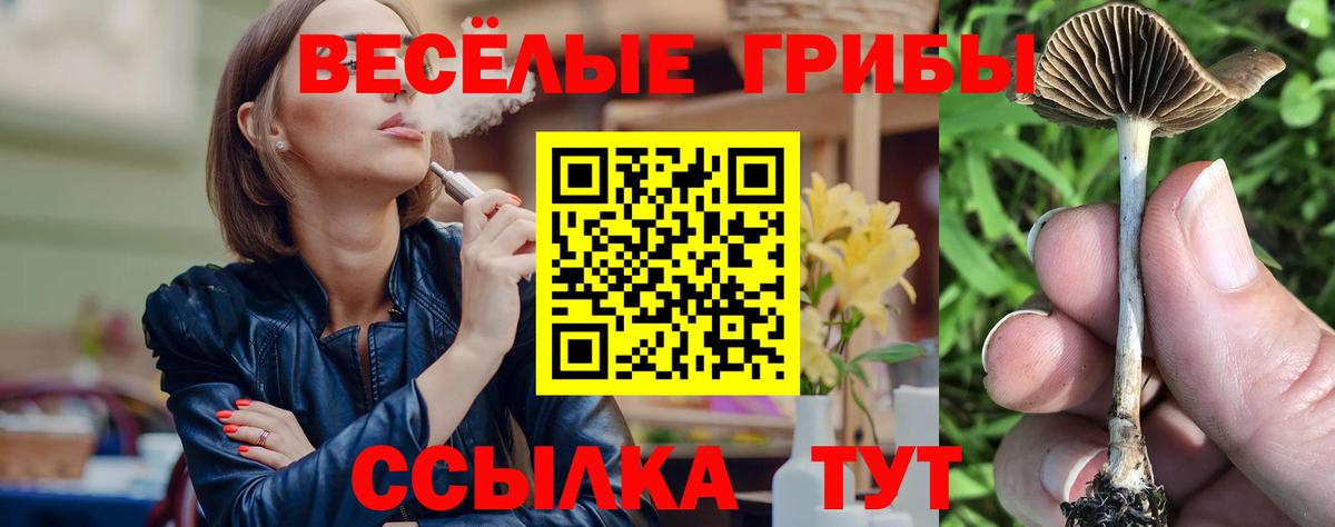 Галлюциногенные грибы Magic Shrooms Жуковский